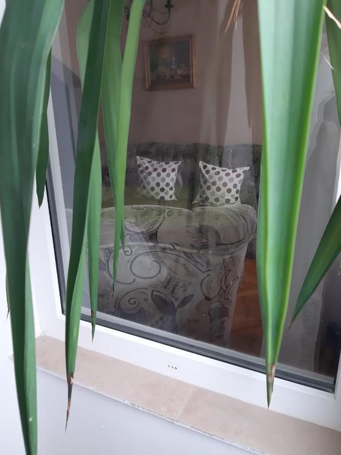 Pelican Proxy Apartment Oradea Exterior photo